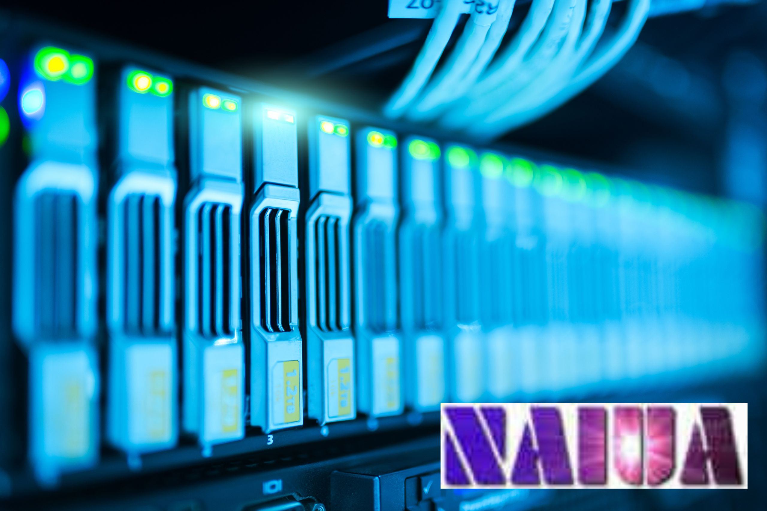 Unlocking Opportunities: Why Joining NAIUA Elevates Your Database Journey